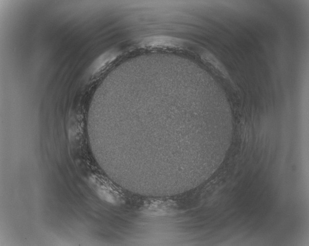 X0000080690824200612151246