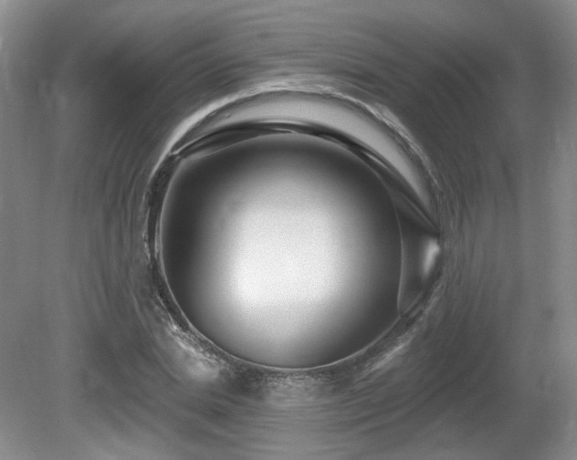 X0000080690830200612151246