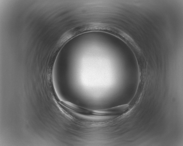 X0000080690841200612151247