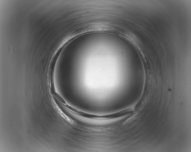 X0000080690843200612151247