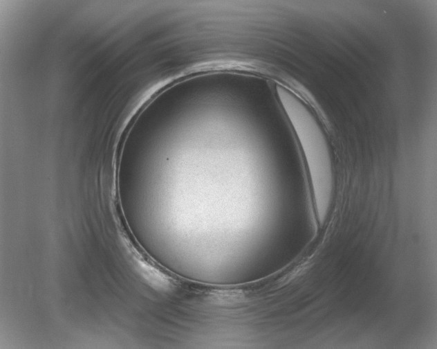 X0000080690844200612151247
