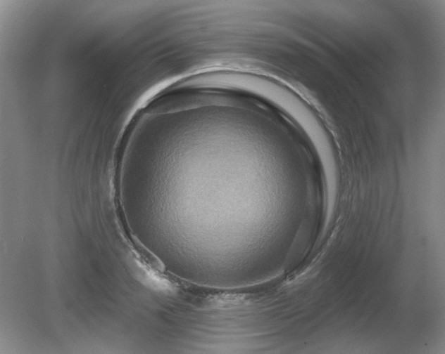 X0000080690846200612151247