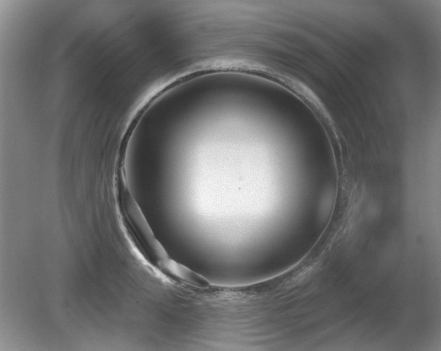 X0000080690847200612151247
