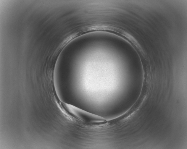 X0000080690849200612151247
