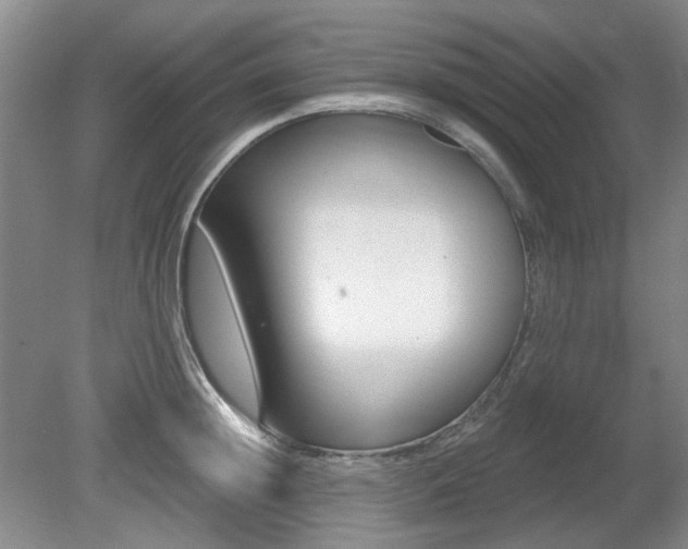 X0000080690852200612151247