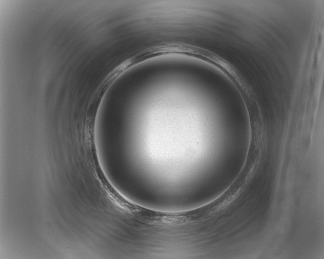 X0000080690857200612151247