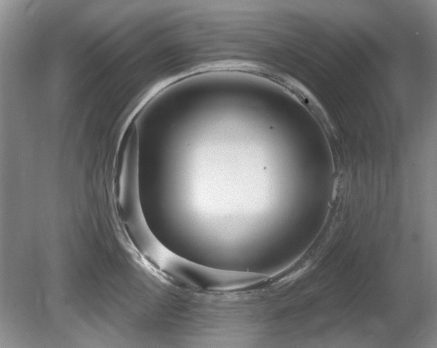 X0000080690860200612151247