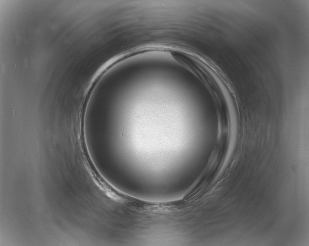 X0000080690862200612151247