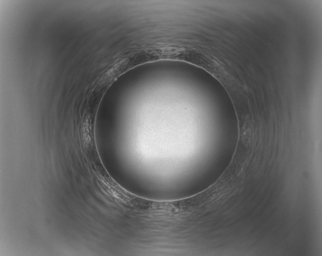 X0000080690866200612151246