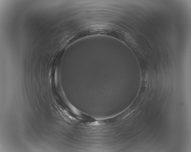 X0000080690868200612151246