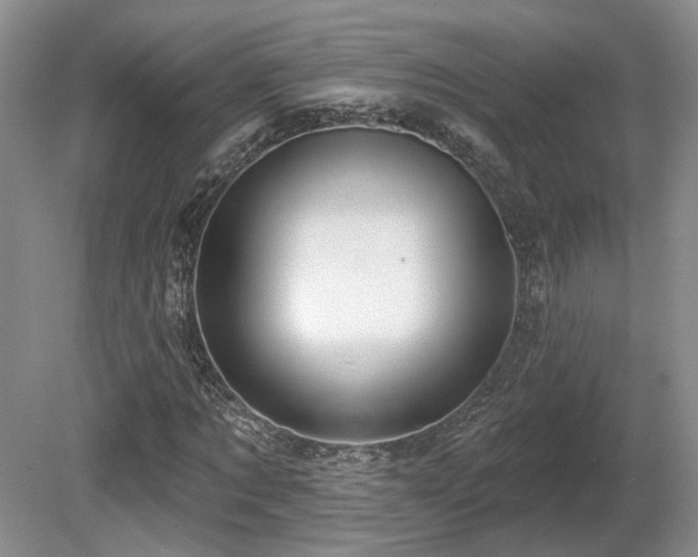 X0000080690869200612151246