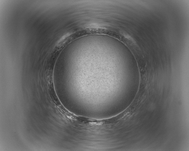 X0000080690870200612151246