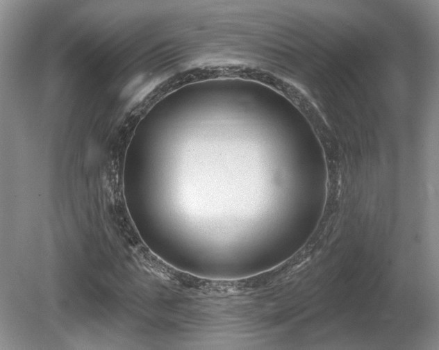X0000080690871200612151246