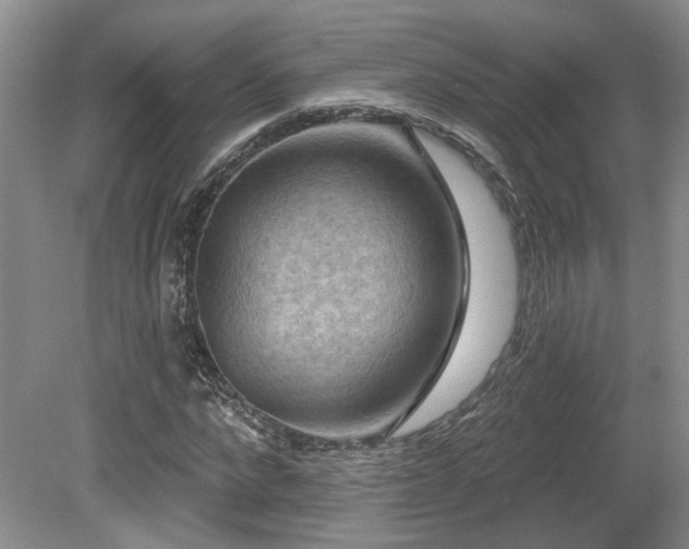 X0000080690872200612151246