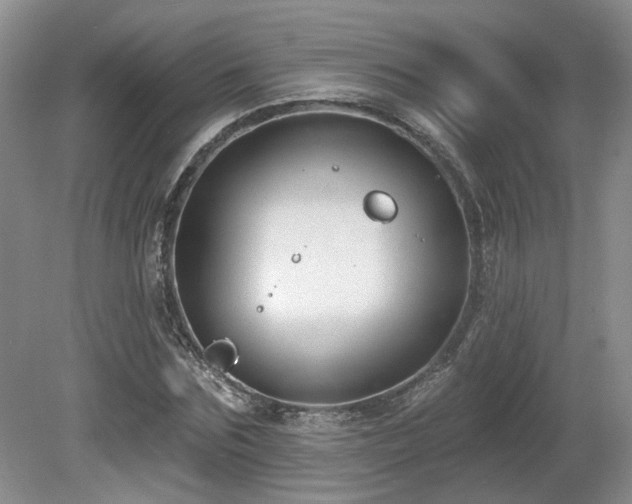 X0000080690875200612151246