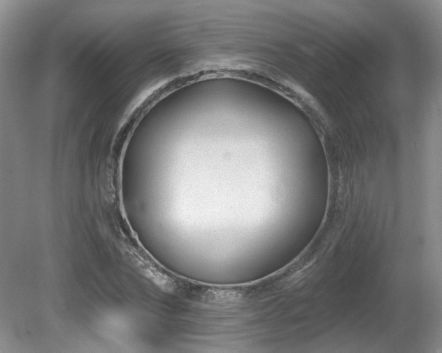 X0000080690878200612151246