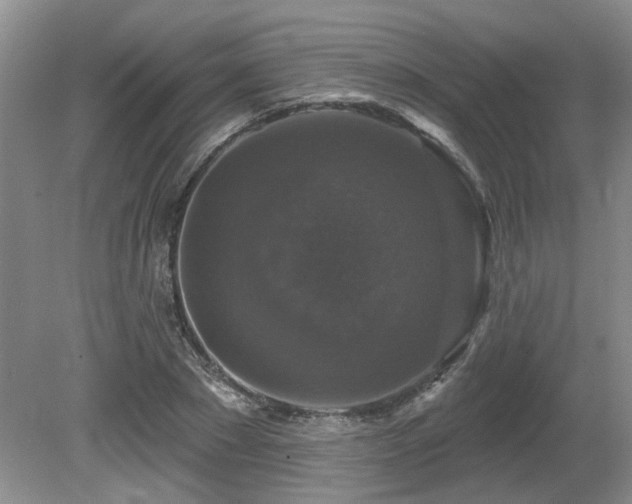 X0000080690881200612151246