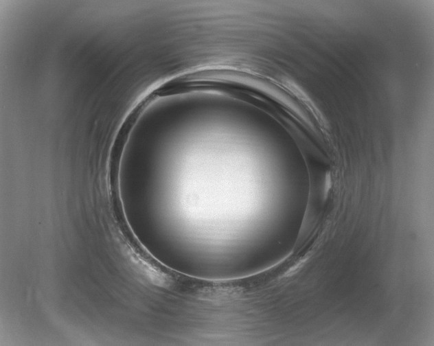 X0000080690884200612151246