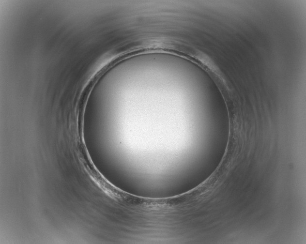 X0000080690886200612151246