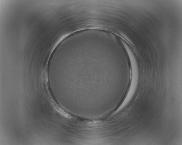 X0000080690891200612151246