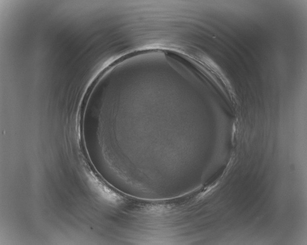 X0000080690892200612151246