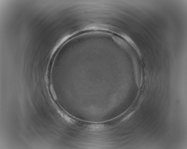 X0000080690893200612151246