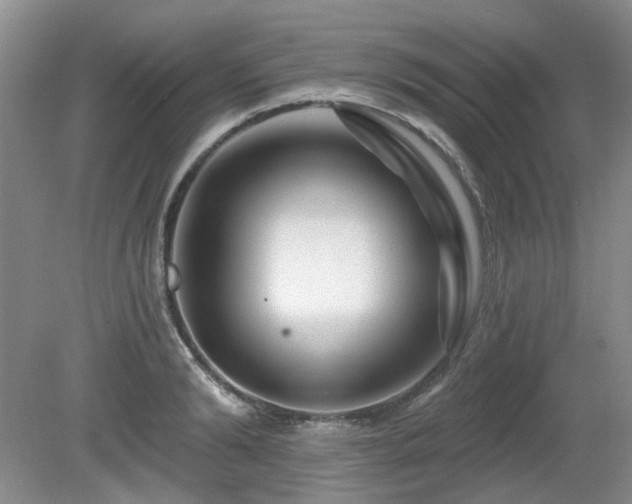 X0000080690894200612151246