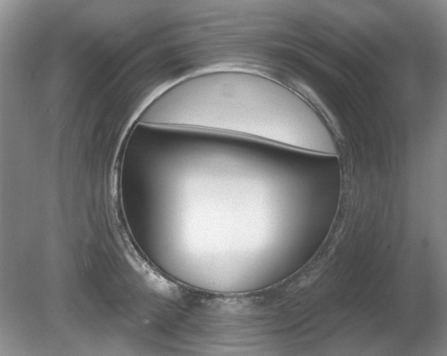 X0000080690900200612151246