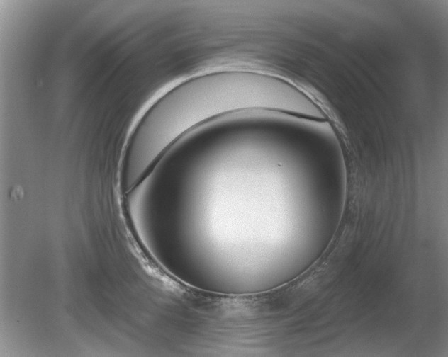 X0000080690904200612151246