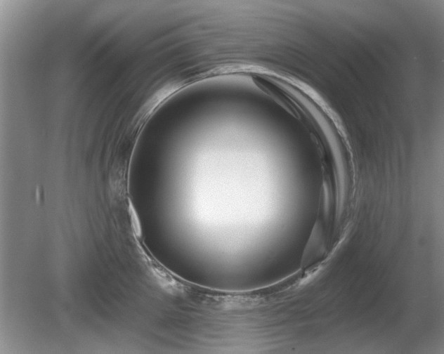 X0000080690905200612151246