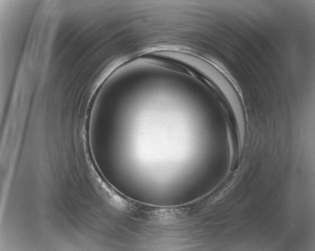 X0000080690906200612151245