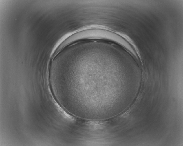 X0000080690910200612151245