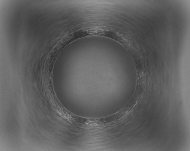X0000080690913200612151245