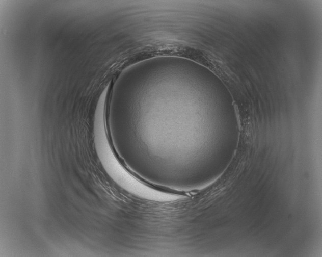 X0000080690916200612151245