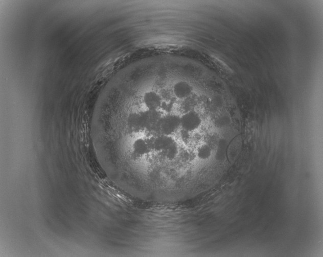 X0000080690917200612151245