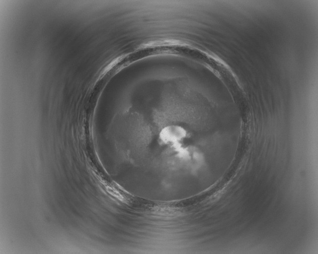 X0000080690921200612151245
