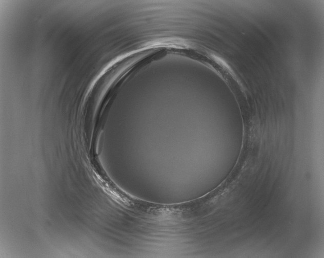 X0000080690923200612151245