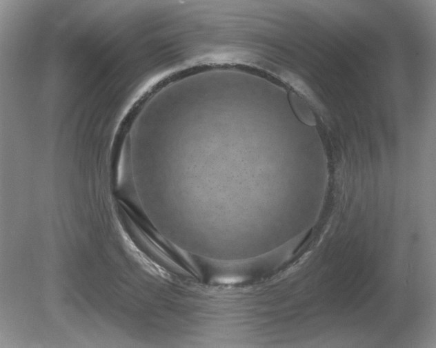 X0000080690934200612151245