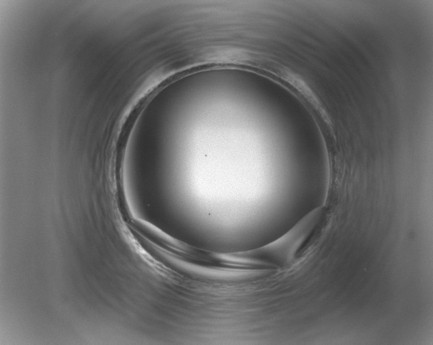 X0000080690939200612151245