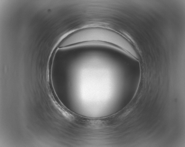 X0000080690940200612151245