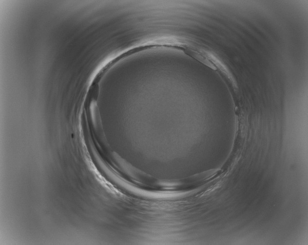 X0000080690944200612151245