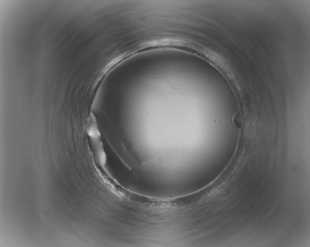 X0000080690945200612151245
