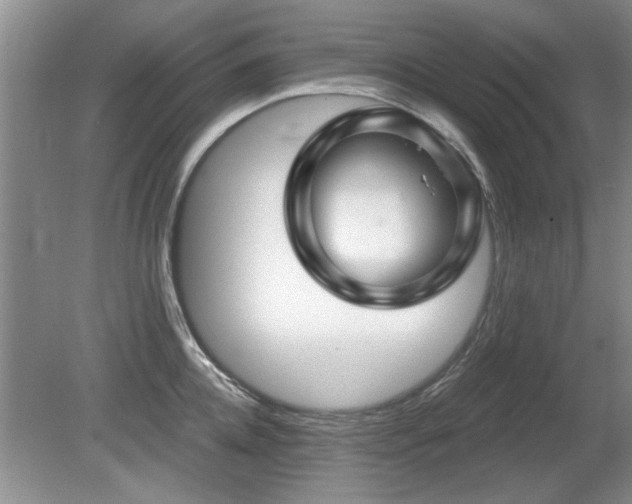 X0000080690952200612151245