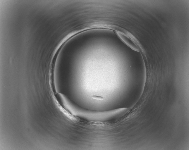 X0000080690955200612151245