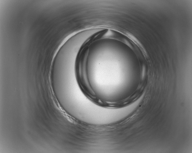 X0000080690956200612151245