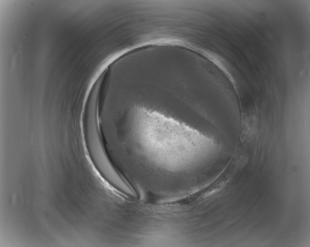 X0000080690959200612151245