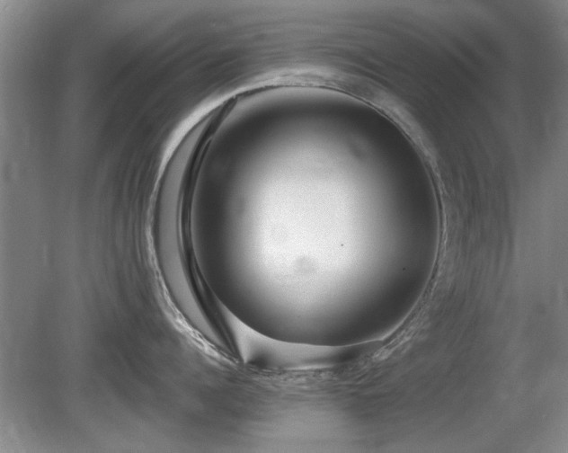 X0000080690960200612151245