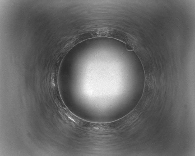 X0000080690962200612151245