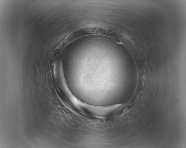 X0000080690965200612151245