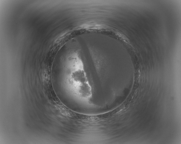X0000080690966200612151244